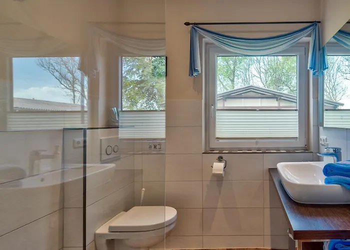 Schwalbe * Hedwigenkoog